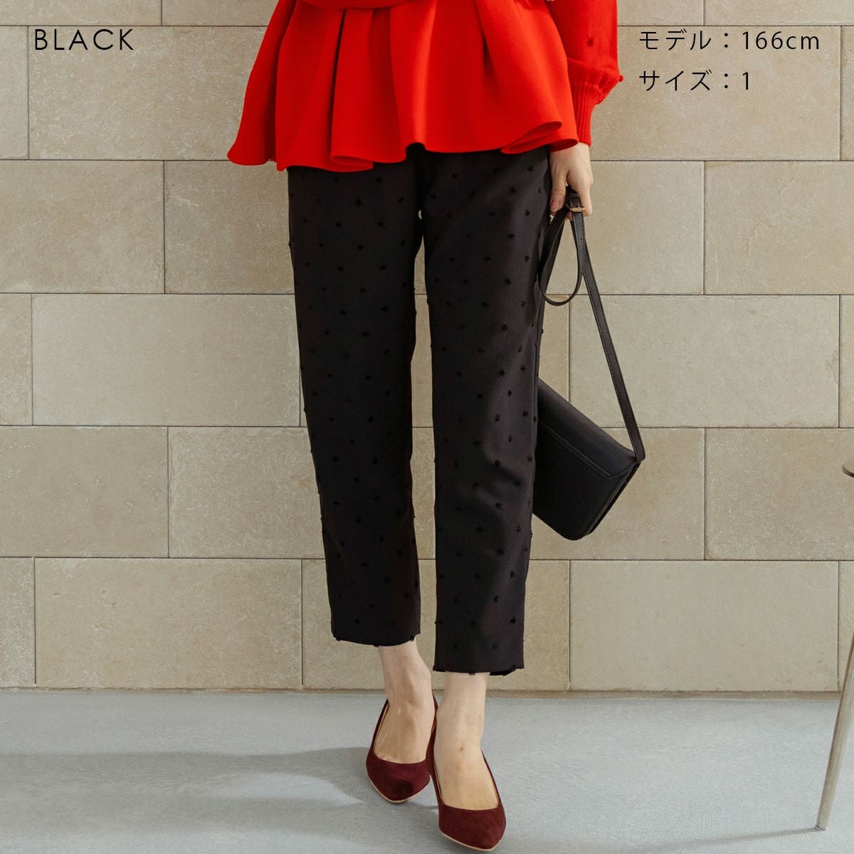 SONO NAVY】-Harmony DOT JQ-ﾃｰﾊﾟｰﾄﾞﾊﾟﾝﾂ【20251017】 | Spendard.com